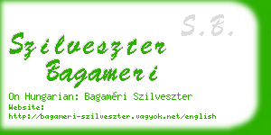 szilveszter bagameri business card
