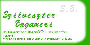 szilveszter bagameri business card